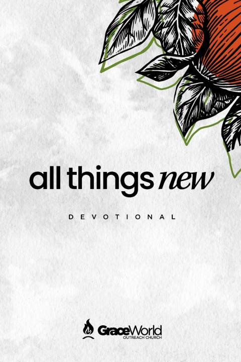 Kniha All Things New Donnie Lewis