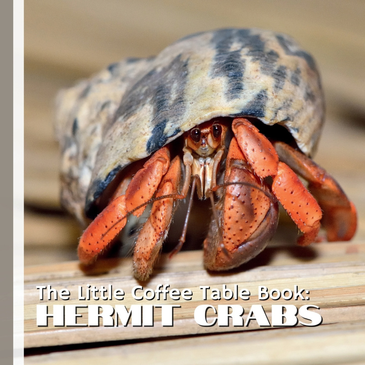 Buch The Little Coffee Table Book MEHCO by Design
