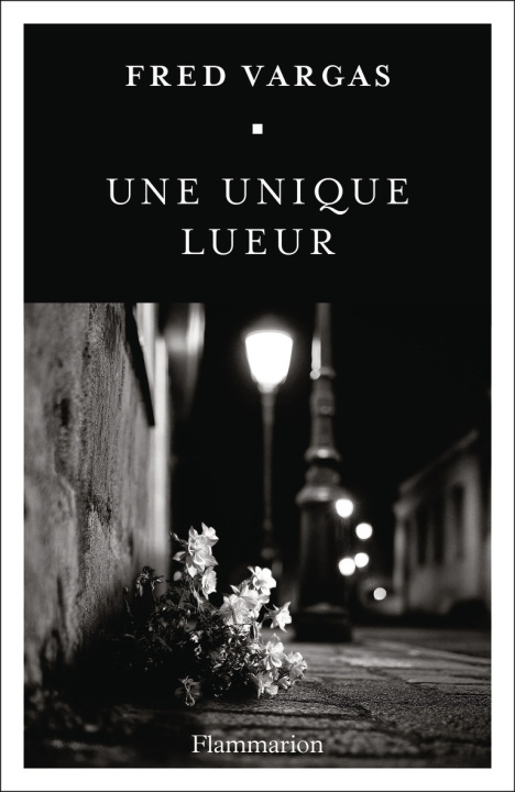 Boek Une unique lueur Vargas