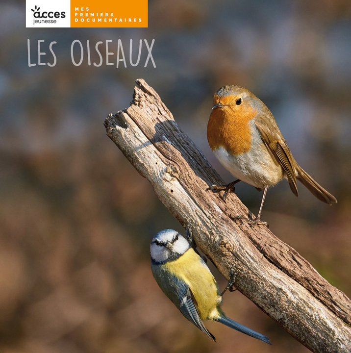 Kniha LES OISEAUX FONTANEL