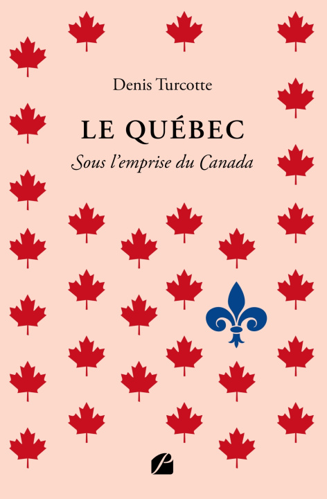 Knjiga Le Québec Denis Turcotte