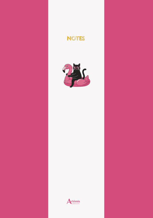 Kniha Carnet chat 