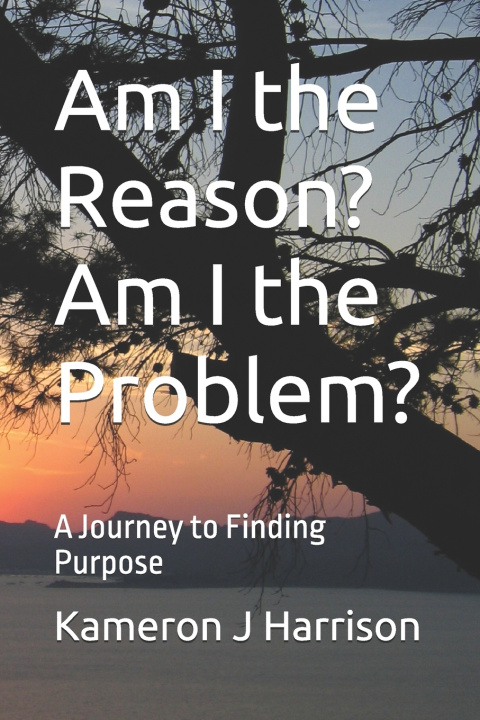 Kniha Am I the Reason? Am I the Problem? Kameron J Harrison