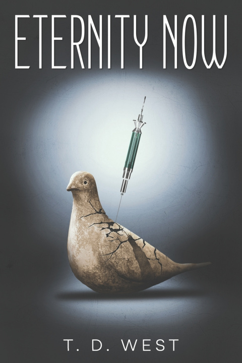 Knjiga Eternity Now T.D. West