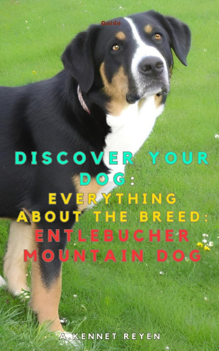 Kniha Discover your dog A. Kennet Reyen