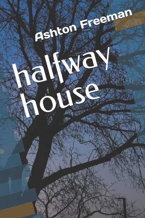 Kniha halfway house Ashton Freeman