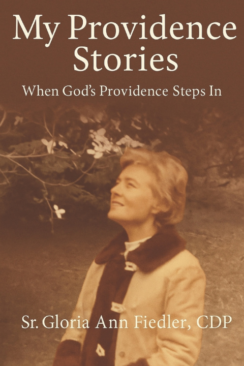 Knjiga My Providence Stories Gloria Ann Fiedler CDP