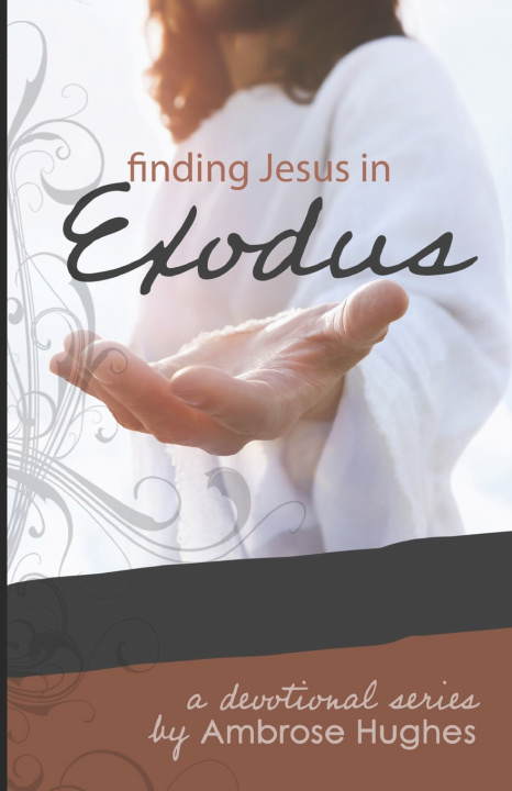 Kniha Finding Jesus in Exodus Ambrose Hughes