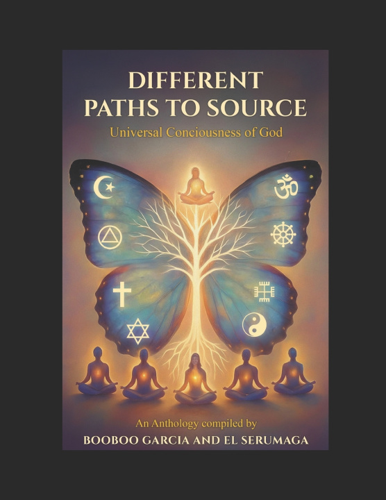 Knjiga Different Paths To Source Sarah Elkhaldy