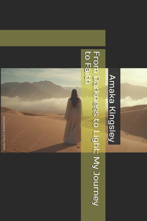 Knjiga From Darkness to Light Amaka Kingsley