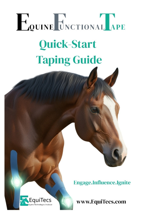Knjiga Quick Start Taping Guide Rebecca Haddock