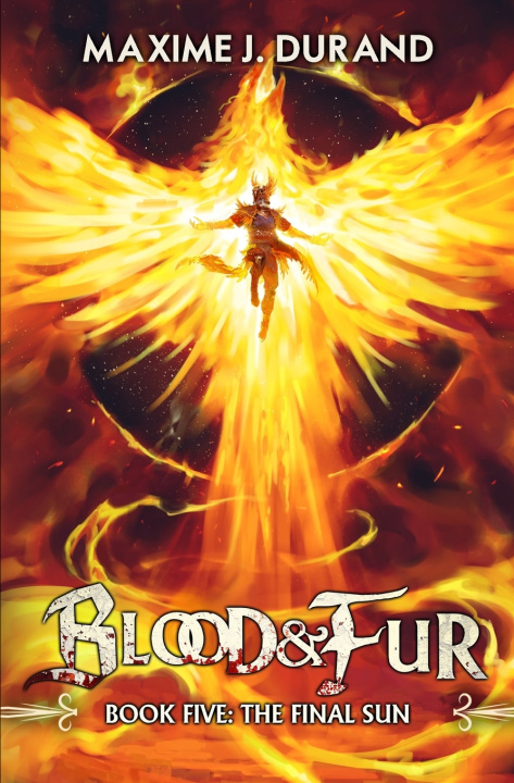 Buch The Final Sun Maxime J. Durand
