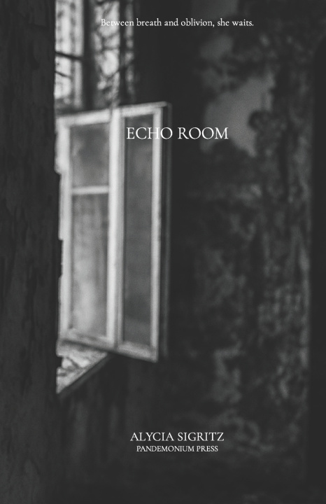 Knjiga Echo Room Alycia Sigritz