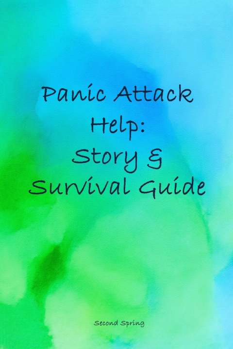 Knjiga Panic Attack Help Second Spring