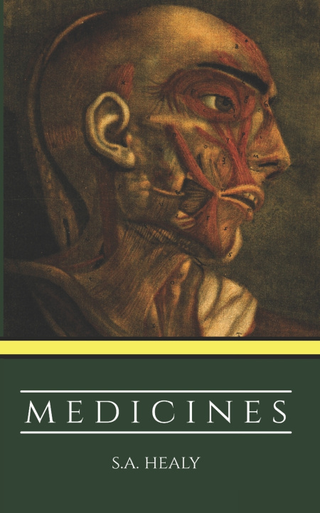 Kniha Medicines Samuel Healy