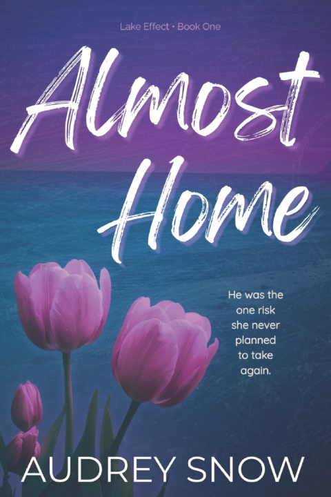 Kniha Almost Home Audrey Snow