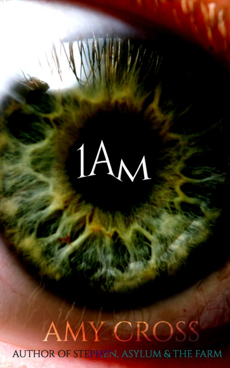 Kniha 1am Amy Cross
