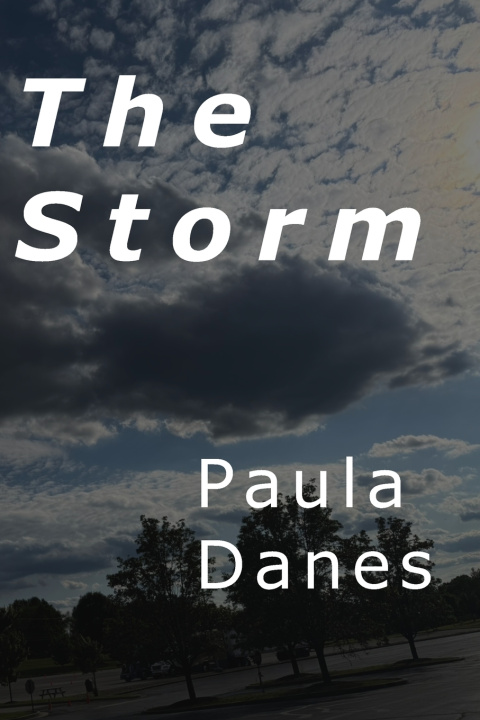 Kniha The Storm Paula Danes