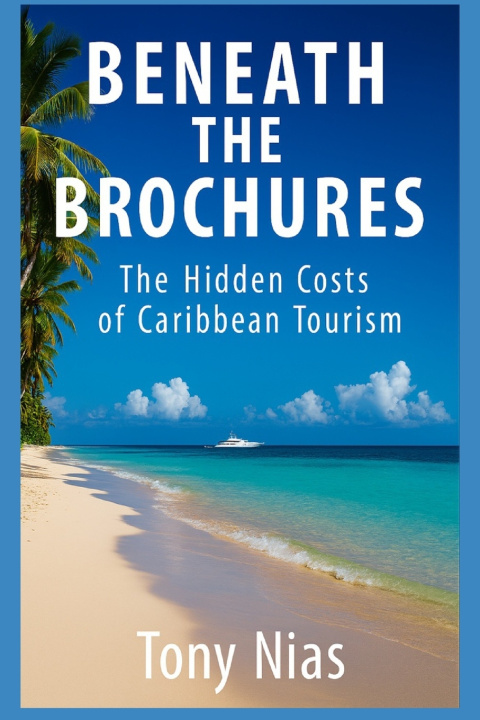 Kniha Beneath the Brochures Tony Nias