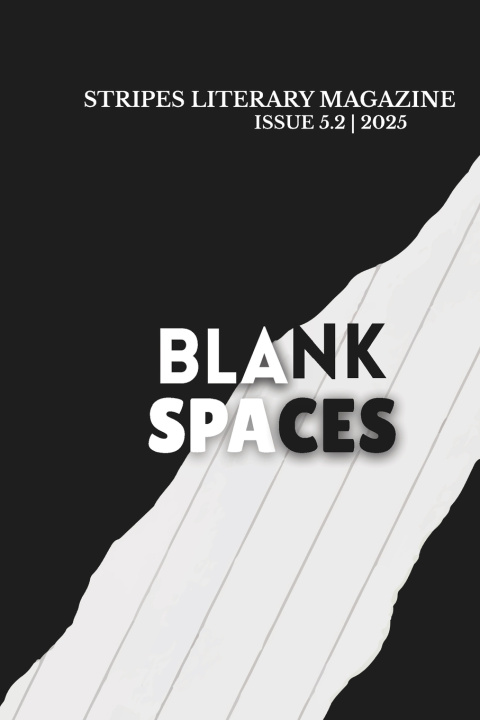 Kniha Blank Spaces Stripes Literary Magazine