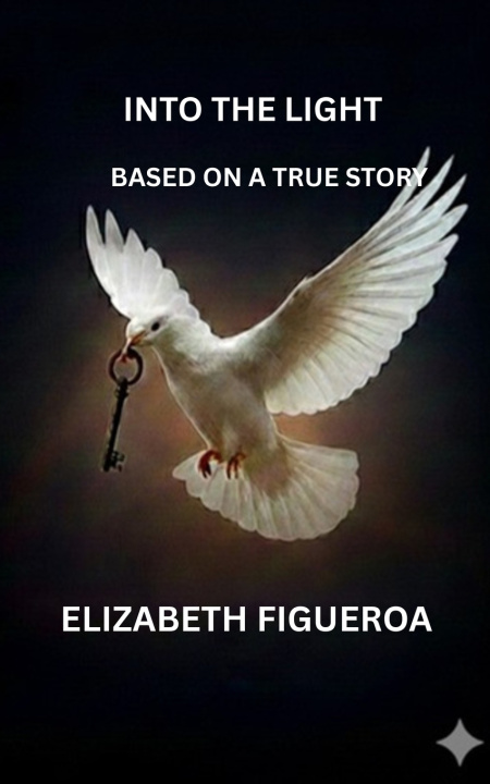 Buch Into The Light ELIZABETH FIGUEROA