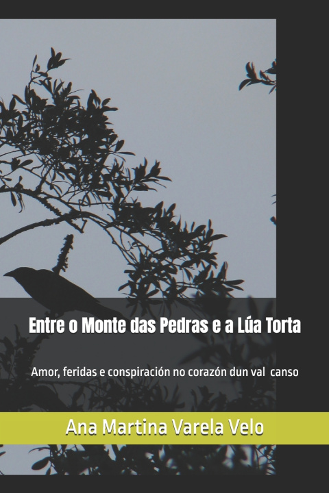 Kniha Entre o Monte das Pedras e a Lúa Torta Ana Martina Varela Velo