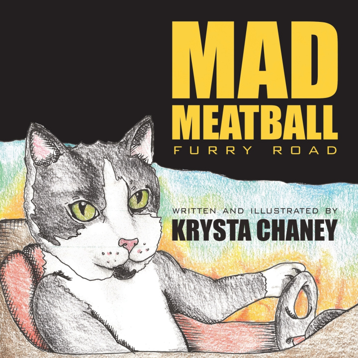 Kniha Mad Meatball Krysta Chaney