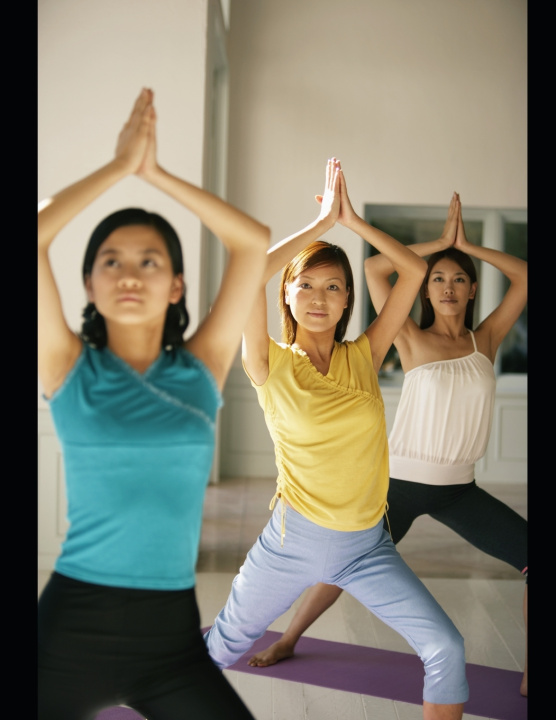 Knjiga EXERCISE ESSENTAIL Sam T. Ramasami