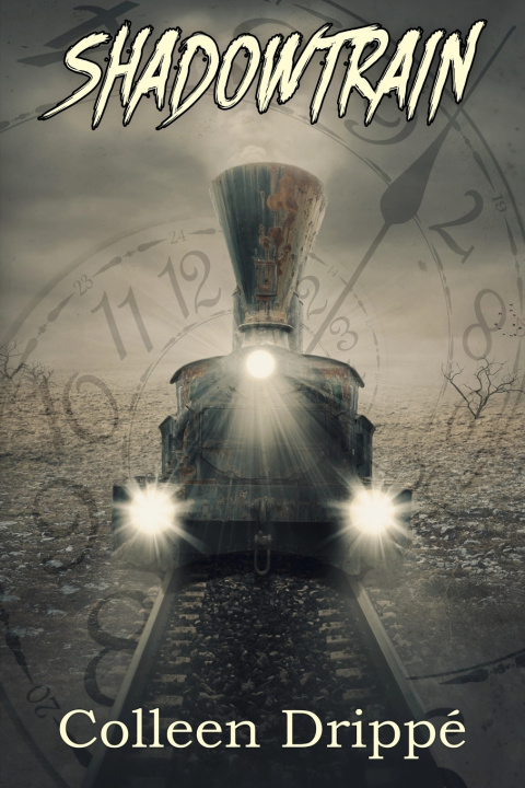 Kniha Shadowtrain Colleen Drippé