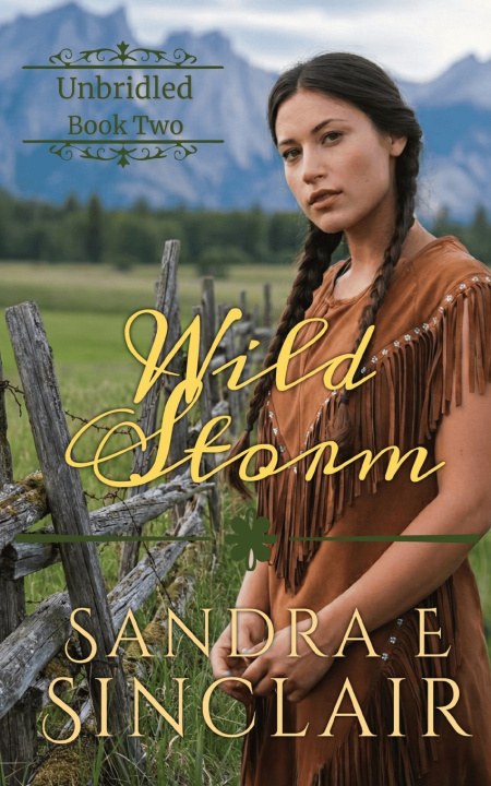 Kniha Wild Storm Sandra E Sinclair