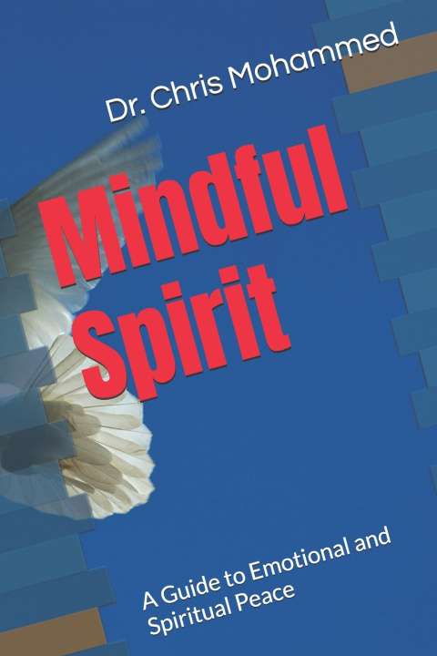 Kniha Mindful Spirit Chris Mohammed