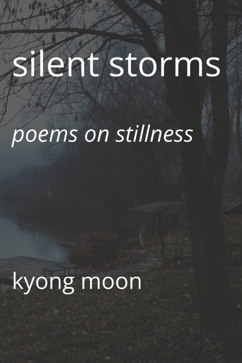 Knjiga Silent Storms Kyong Moon