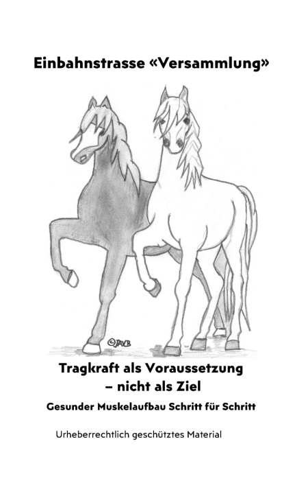 Kniha Einbahnstrasse Versammlung Jasmina Banjac