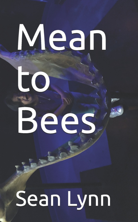 Knjiga Mean to Bees Sean Lynn