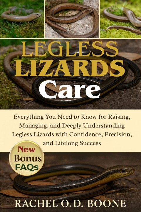 Kniha LEGLESS LIZARDS CARE RACHEL O.D BOONE