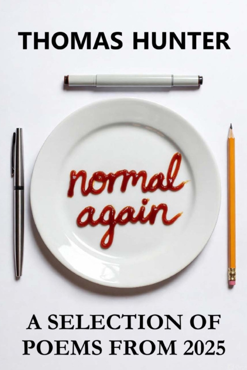 Kniha Normal Again Thomas Hunter