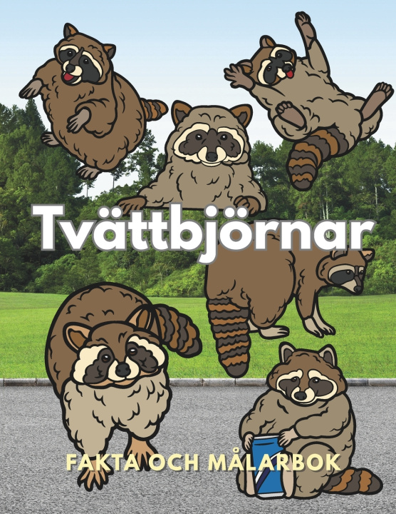Kniha Tvättbjörnar Steven Book