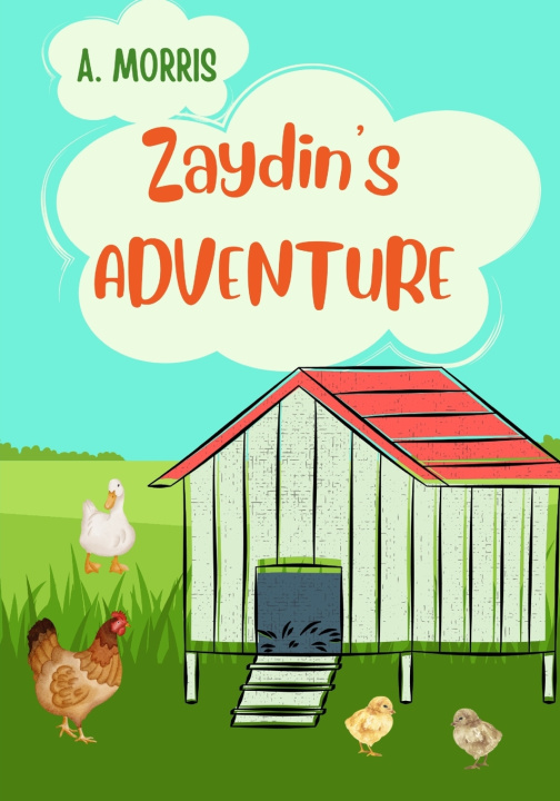 Kniha Zaydin's Adventure Annastazia Morris
