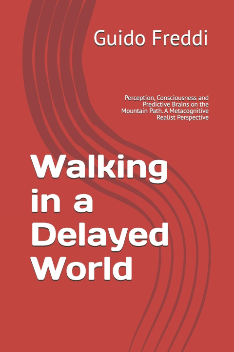 Kniha Walking in a Delayed World Guido Freddi