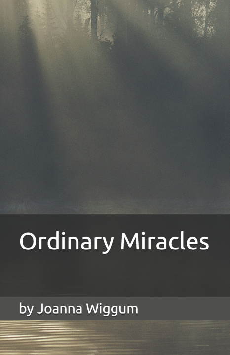 Kniha Ordinary Miracles Joanna Wiggum