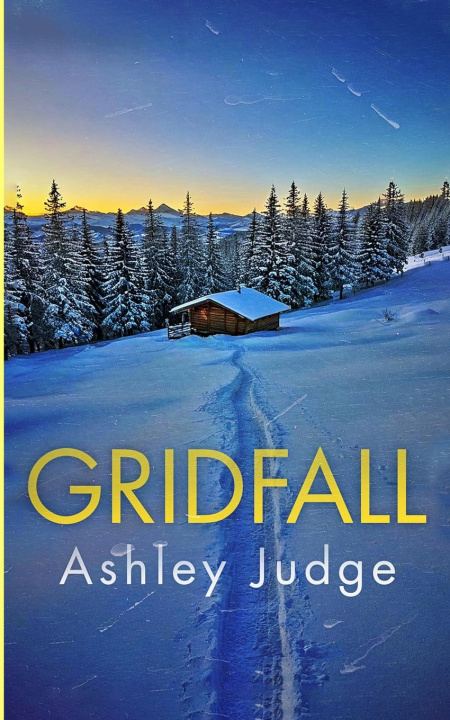 Kniha Gridfall Ashley Judge