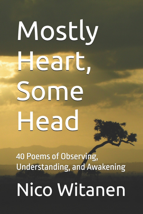 Kniha Mostly Heart, Some Head Nico Witanen