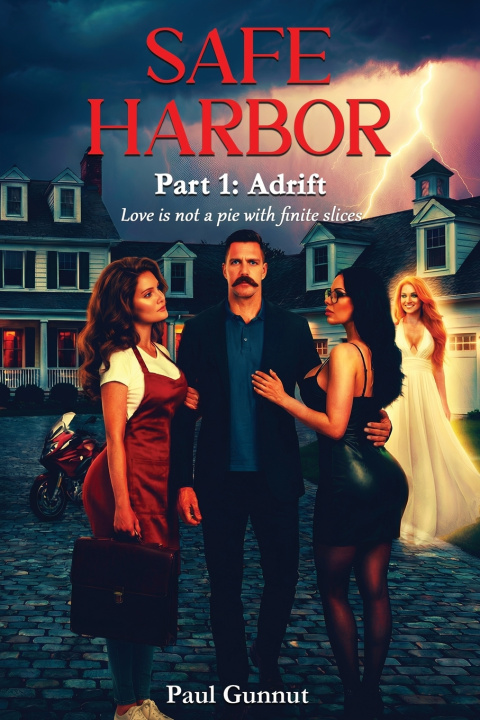 Kniha Safe Harbor Part 1 Paul Gunnut