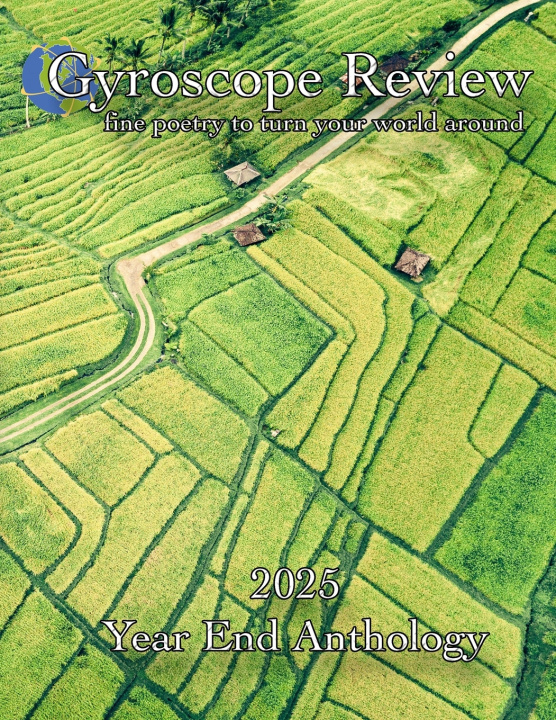 Kniha Gyroscope Review 2025 Year End Anthology Constance Brewer