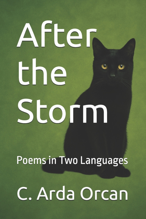 Knjiga After the Storm Arda Orcan