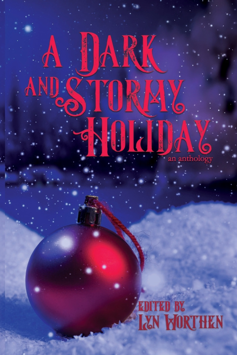 Kniha A Dark and Stormy Holiday Annie Reed