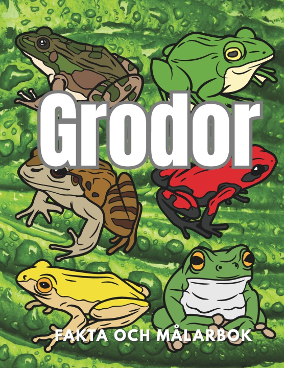 Kniha Grodor Steven Book