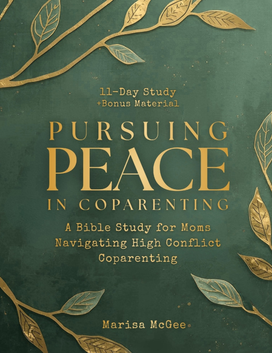 Kniha Pursuing Peace in Coparenting Marisa McGee