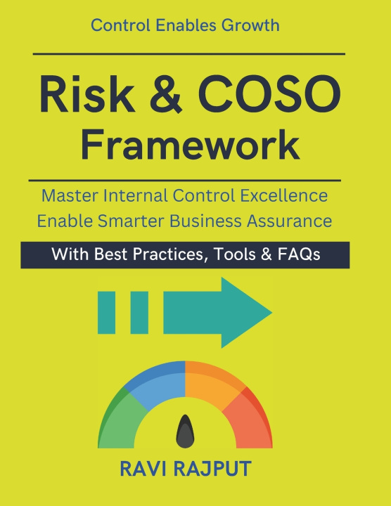 Kniha Risk & COSO Framework RAVI RAJPUT