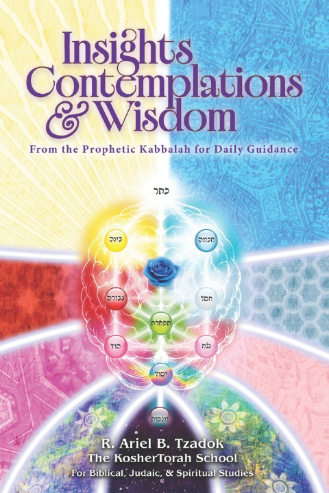 Kniha Insights, Contemplations & Wisdom Ariel B. Tzadok